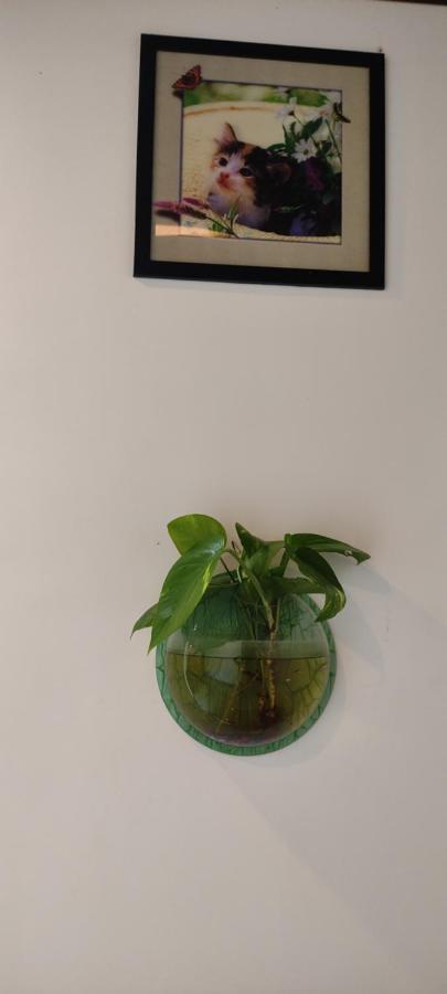 Soly'S Villa Homestay مونار المظهر الخارجي الصورة